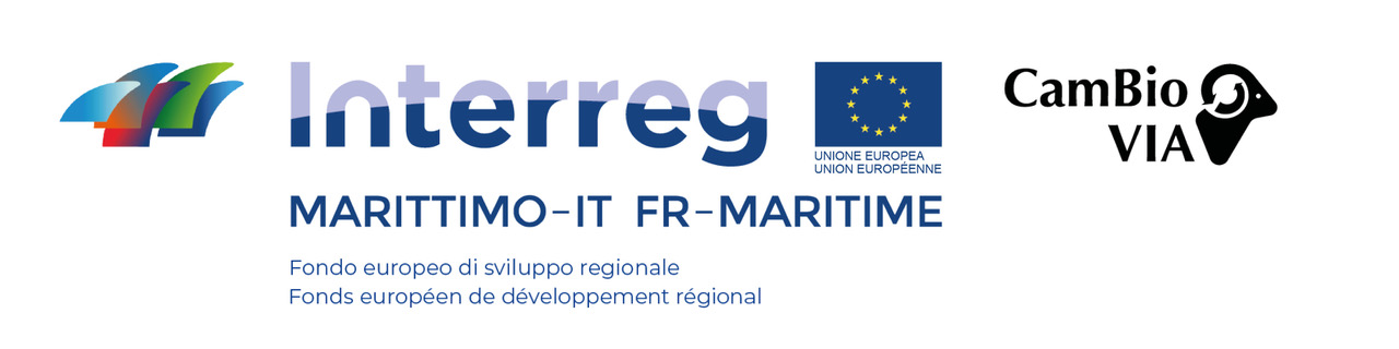 interreg+ logo cambio via IT+FR-01_mod