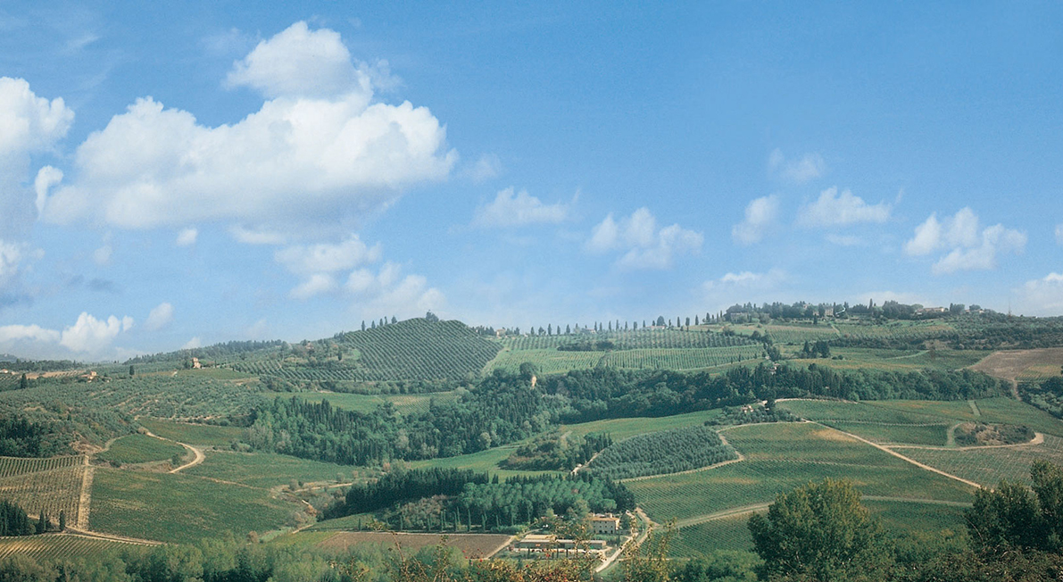 Federazione-Strade-Vino-Toscana